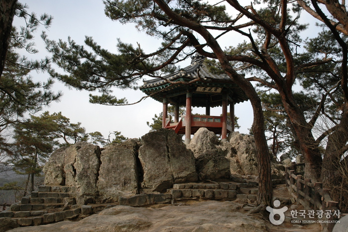 Felsen Nakhwaam (낙화암)