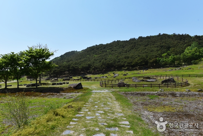 Dolmenstätte Gochang [UNESCO Weltkulturerbe] (고창 고인돌 유적 [유네스코 세계문화유산])