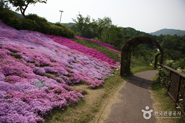 Botanischer Garten Haeyeorim (해여림식물원)