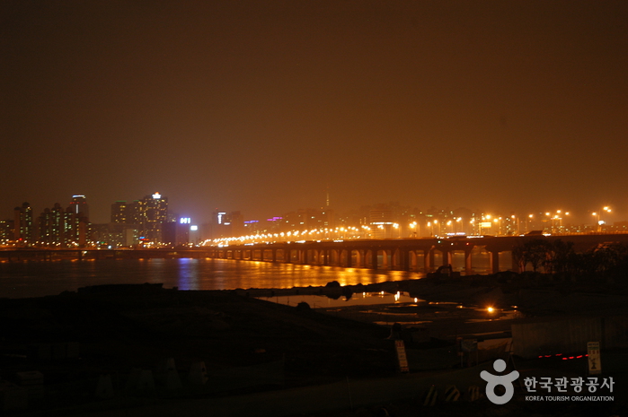 Brücke Mapodaegyo (마포대교 야경)