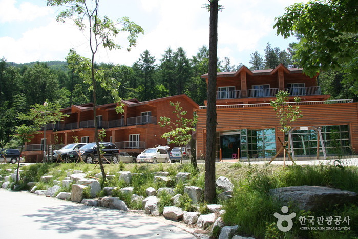 Erholungsbergwald Yumyeongsan (유명산자연휴양림) Erholungsbergwald Yumyeongsan (유명산자연휴양림)