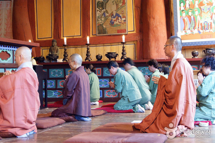 禅雲寺テンプルステイ(선운사 산사체험) 禅雲寺テンプルステイ(선운사 산사체험)