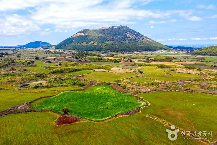 タランシオルム（月郎峰）（다랑쉬오름（월랑봉））