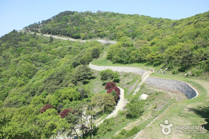 礼山 任存城（예산 임존성）