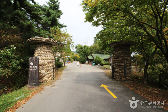 国立ヒリ山海松自然休養林(국립 희리산해송자연휴양림) 国立ヒリ山海松自然休養林(국립 희리산해송자연휴양림)