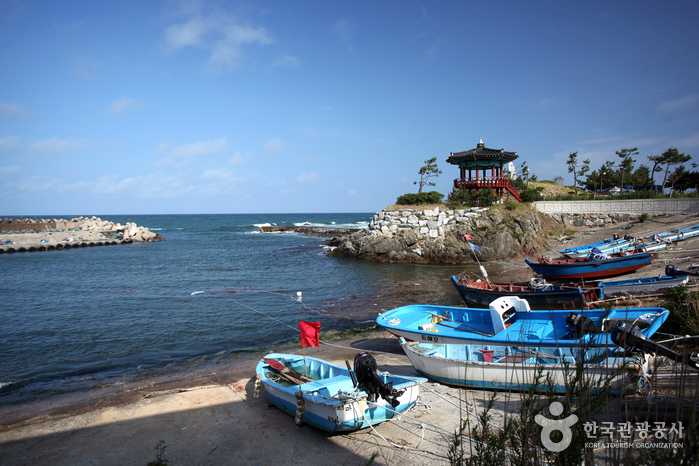 ズワイガニ元祖 車踰漁村体験村（대게원조 차유어촌체험마을）