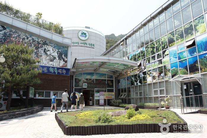 가야산 야생화식물원