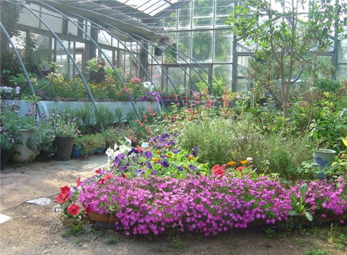 강천산휴양농원