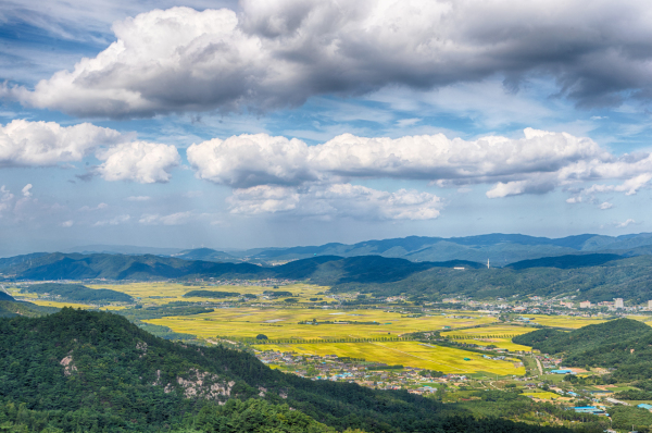 경주 전경