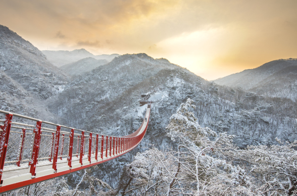 감악산 출렁다리의 아침