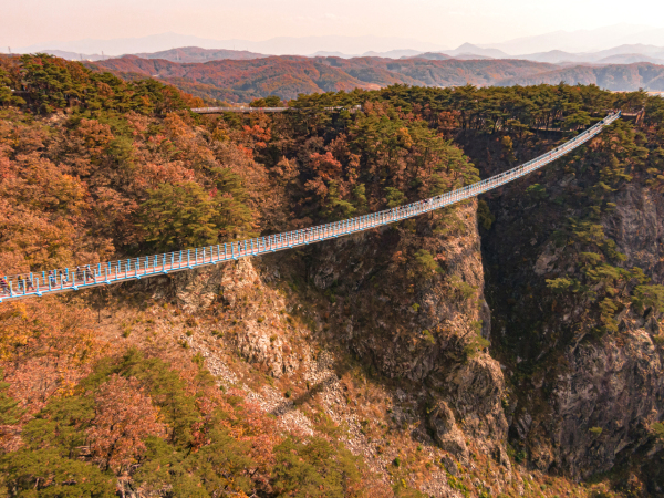 원주 소금산 출렁다리