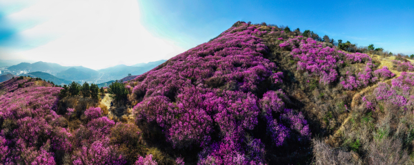 여수 영취산