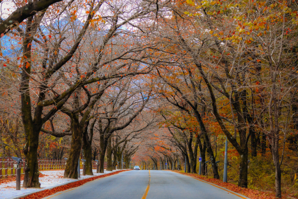 설악산국립공원