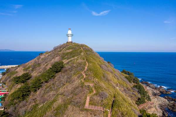 죽도산