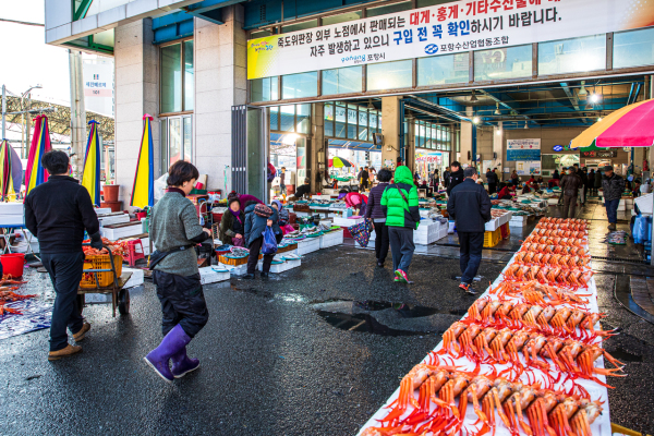 포항 죽도시장