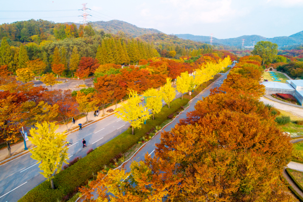 인천대공원