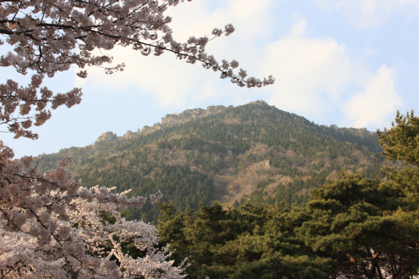 장복산