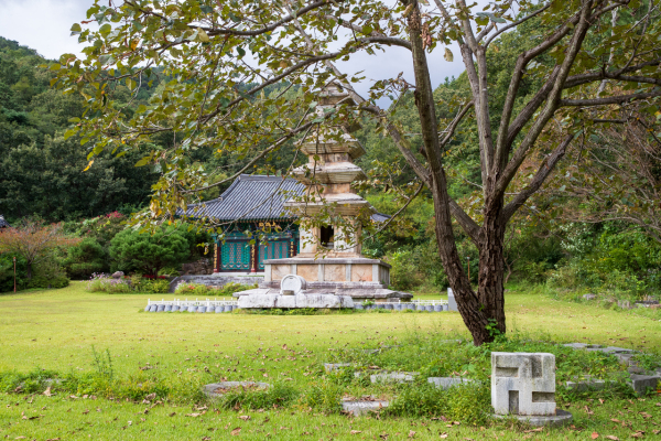 서황사