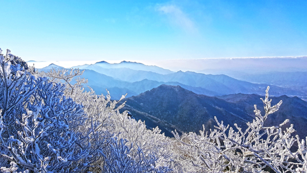 설천봉 겨울풍경