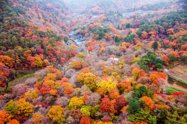 가야산의 가을