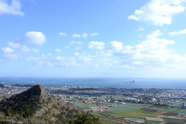 단산(바굼지오름)