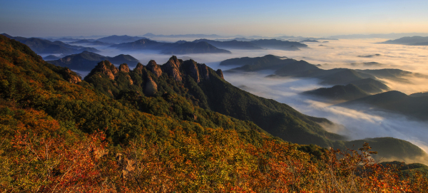 구봉산의 가을