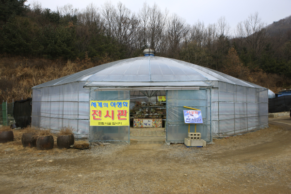 남양주종합촬영소_야생화전시관