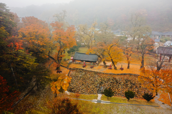 영월 보덕사