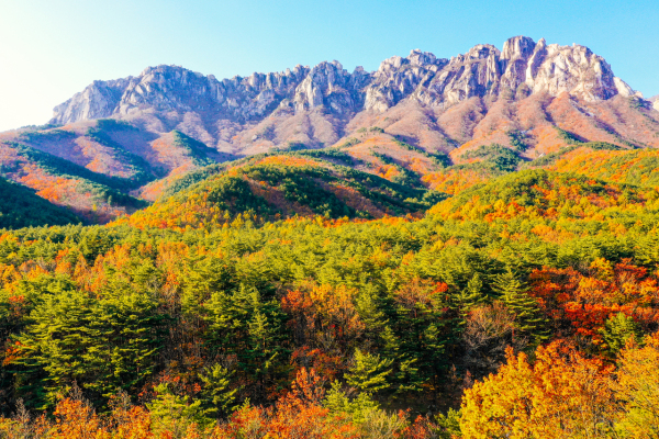 울산바위