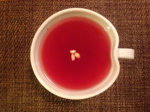 Tteul Gwa Dawon (뜰과다원)