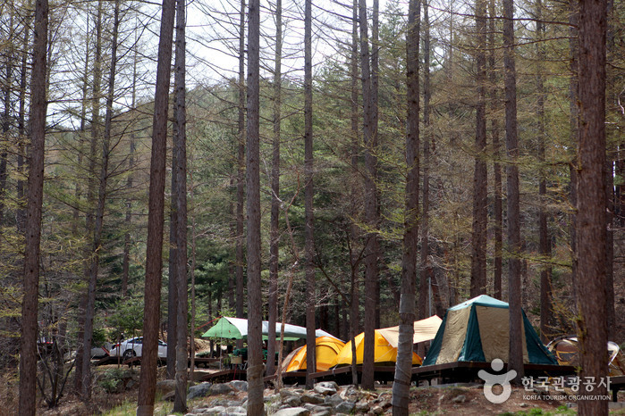 Bosque Recreativo Nacional del Monte Cheongoksan (국립 청옥산자연휴양림)