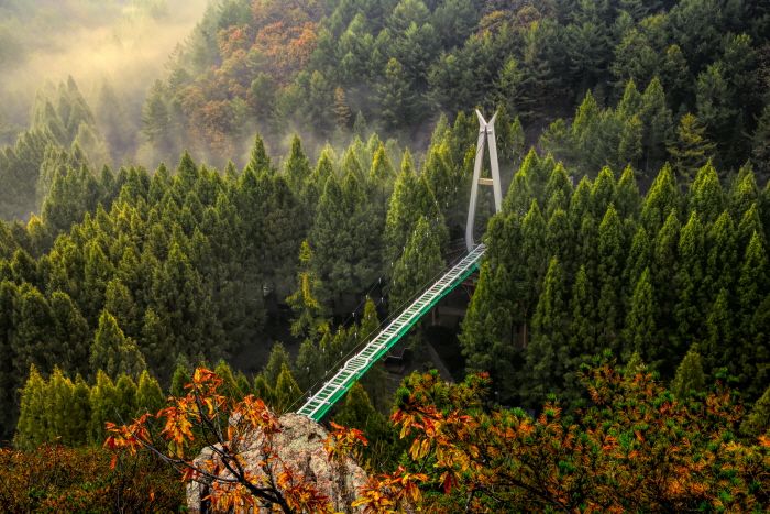 Bosque Recreativo del Monte Jangtaesan (장태산자연휴양림)