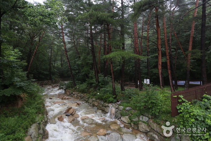 Cascadas Daeseung (대승폭포) Cascadas Daeseung (대승폭포)