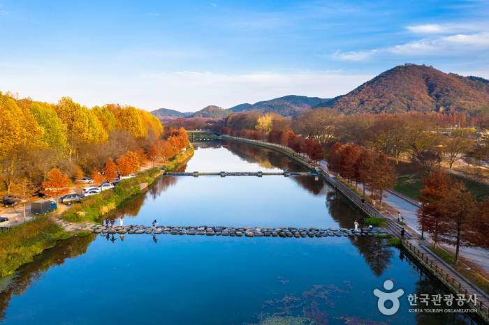 Bosque Gwanbangjerim (관방제림)