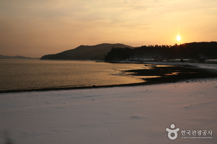 Bahía Cheonsuman (Área de Observación de Aves) (천수만(철새도래지))