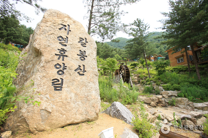 Bosque Recreativo del Monte Kalbongsan (칼봉산자연휴양림) Bosque Recreativo del Monte Kalbongsan (칼봉산자연휴양림)